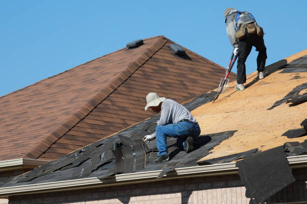 Best Asphalt Shingle Roofing  in Ocean Grove, MA